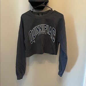 Quinnipiac Bobcats Gray Cropped Sweatshirt